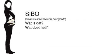 SIBO bacterie overgroei dunne darm